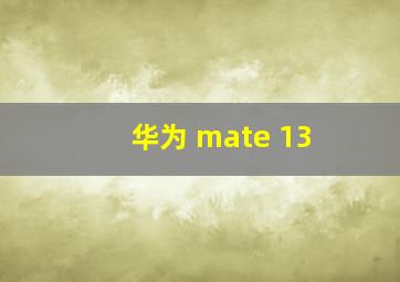 华为 mate 13